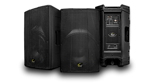 Bafle Amplificado MELO DSP1540