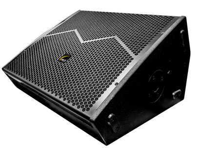 Monitor de Piso Activo 2x10" 1x1.75" 1000W RMS MATCH 210W