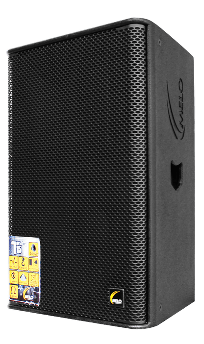 Bafle Pasivo MELO 1x15" 1x3" 500 Wts RMS T15